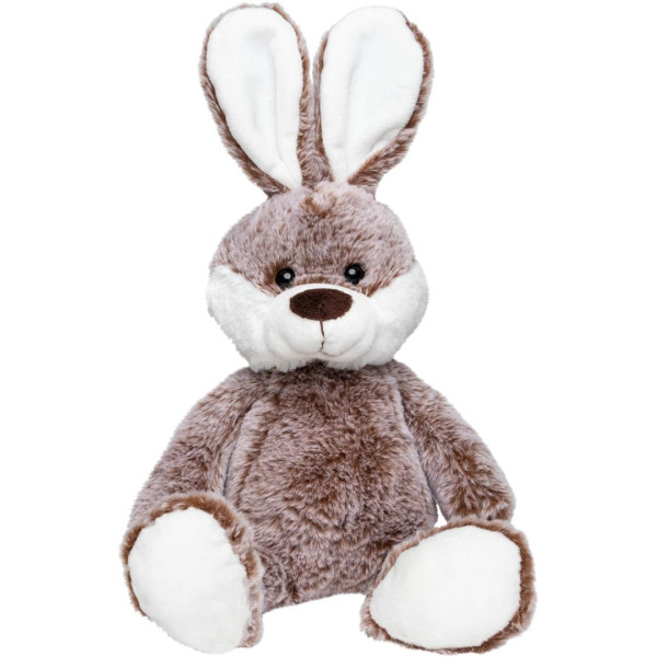 Hase Clemens