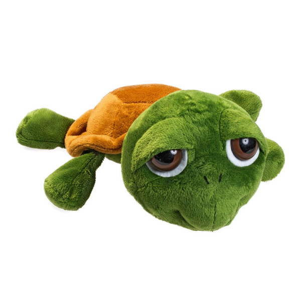 Schildkröte Lotte