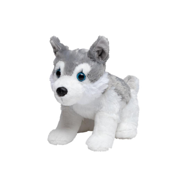 Husky Harri