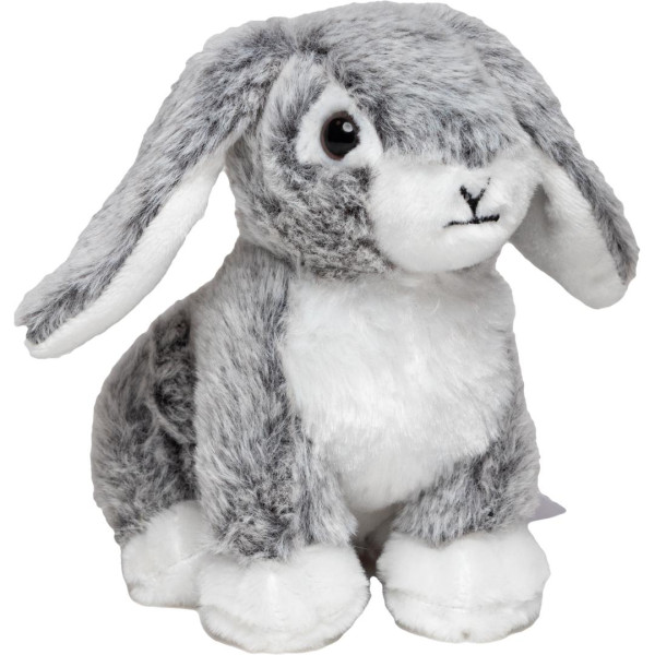 Hase Bettina