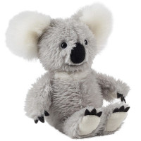 Koala Sydney