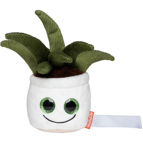 Schmoozies Evergreenies Aloe Vera