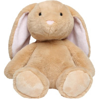 Hase Henni