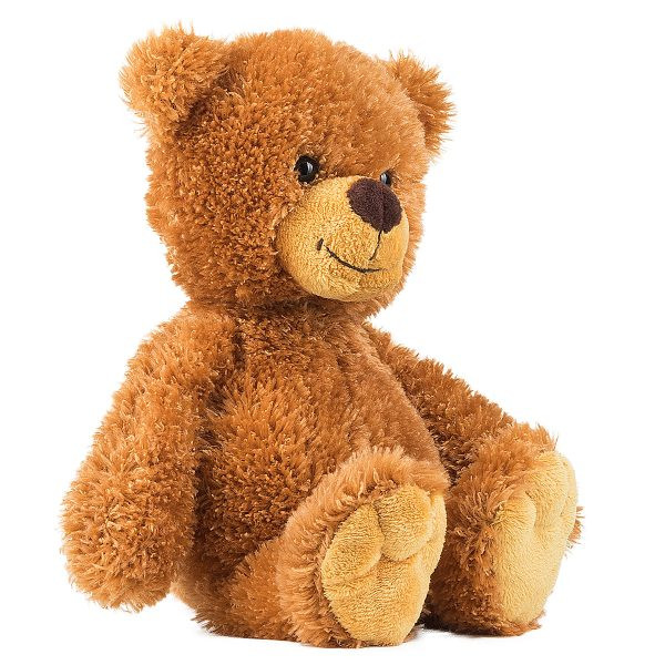 Teddy Tom