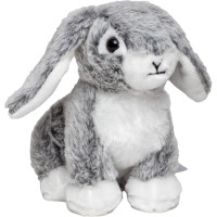 Hase Bettina
