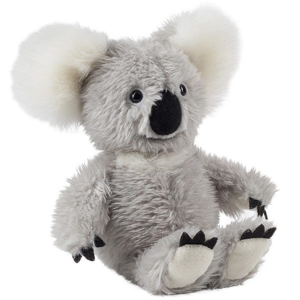 Koala Sydney