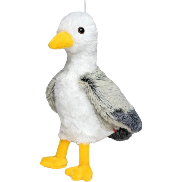 Möwe Jonathan
