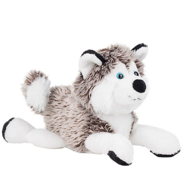 Hund Schlittenhund Husky
