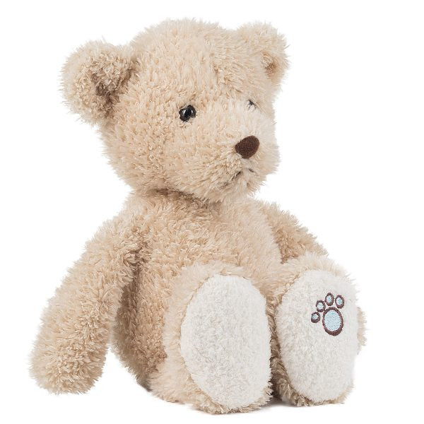 Teddy Luca